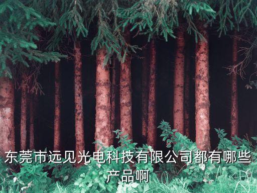 遠(yuǎn)見智能科技是什么，東莞市遠(yuǎn)見光電科技有限公司都有哪些產(chǎn)品啊