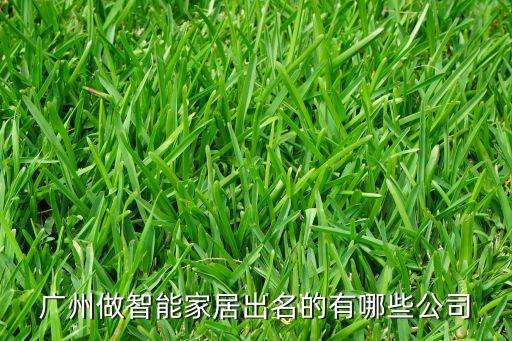 廣州有哪些智能科技公司，廣州智能家居公司有哪些
