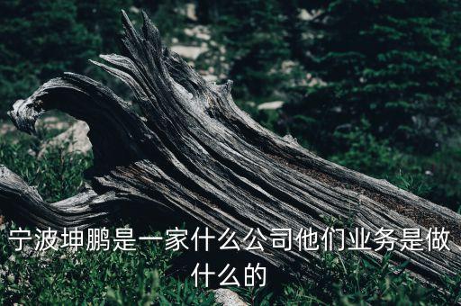 寧波坤鵬是一家什么公司他們業(yè)務是做什么的