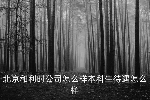 北京和利時公司怎么樣本科生待遇怎么樣