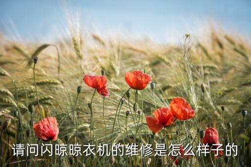 請(qǐng)問(wèn)閃晾晾衣機(jī)的維修是怎么樣子的