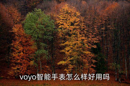 voyo智能手表怎么樣好用嗎