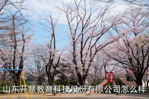 山東開慧教育科技股份有限公司怎么樣
