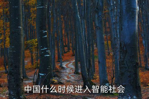 中國(guó)什么時(shí)候進(jìn)入智能社會(huì)