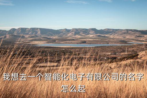 我想去一個(gè)智能化電子有限公司的名字怎么起