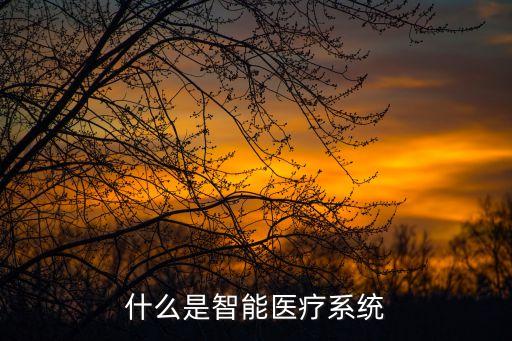 什么是智能醫(yī)療系統(tǒng)