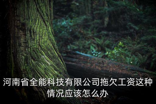 河南四月天智能科技怎么樣，河南省全能科技有限公司拖欠工資這種情況應(yīng)該怎么辦