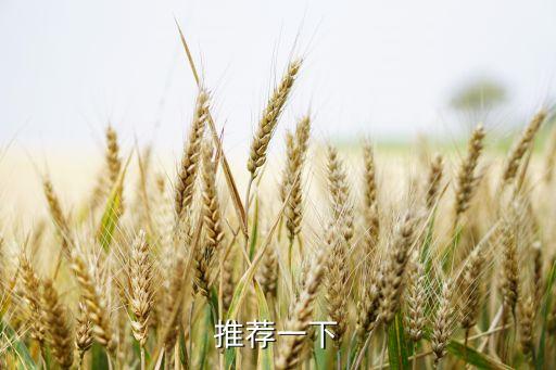 昆山智能科技在哪里，推薦一下
