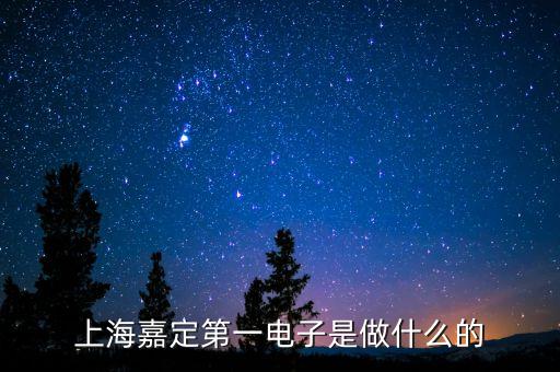 上海嘉定第一電子是做什么的