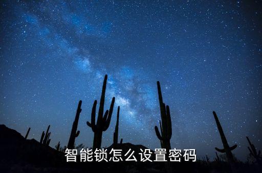 智能鎖怎么設置密碼