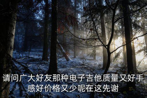 請(qǐng)問廣大好友那種電子吉他質(zhì)量又好手感好價(jià)格又少呢在這先謝