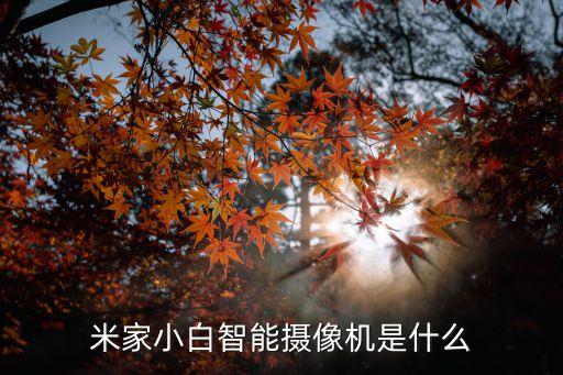 小白智能科技是什么，小白科技是做什么的