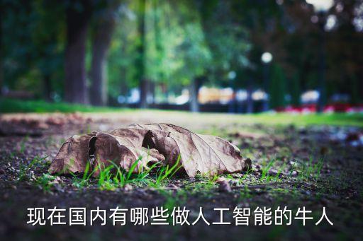 現(xiàn)在國(guó)內(nèi)有哪些做人工智能的牛人