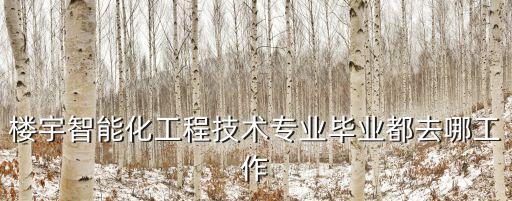 星團智能科技招聘電話多少，若美電子有限公司招聘嗎