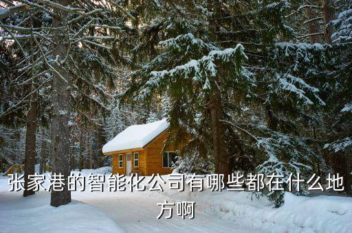 張家港的智能化公司有哪些都在什么地方啊