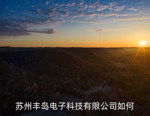 蘇州豐島電子科技有限公司如何
