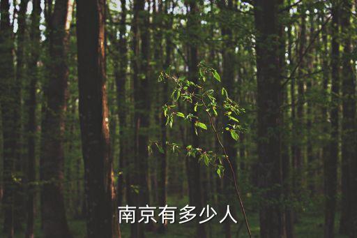南京有多少人