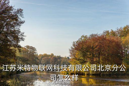江蘇米特物聯(lián)網(wǎng)科技有限公司北京分公司怎么樣
