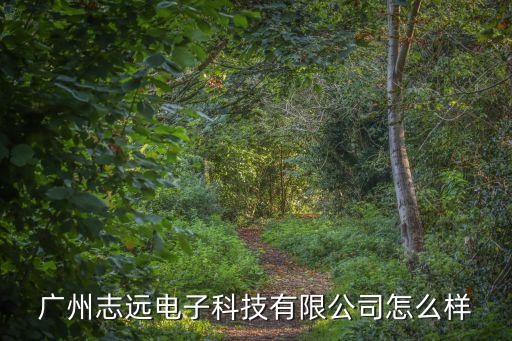 廣州志遠(yuǎn)電子科技有限公司怎么樣