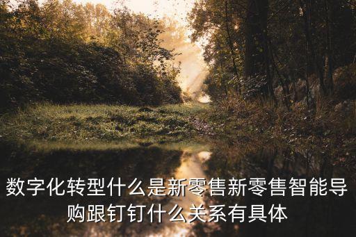 數(shù)字化轉(zhuǎn)型什么是新零售新零售智能導(dǎo)購(gòu)跟釘釘什么關(guān)系有具體