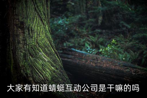 蜻蜓智能科技app怎么樣，智家人智能科技好用么