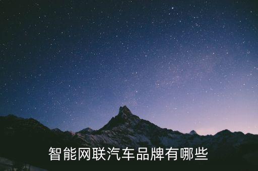 智能網(wǎng)聯(lián)汽車品牌有哪些