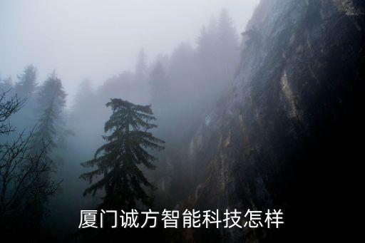 廈門誠方智能科技怎樣