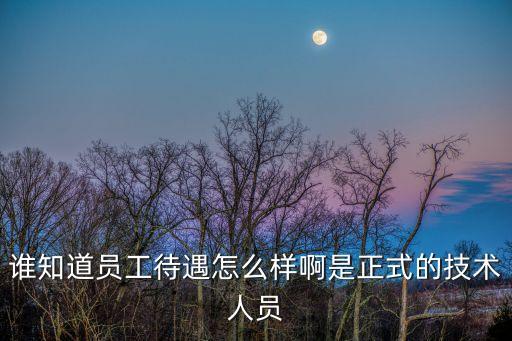 誰知道員工待遇怎么樣啊是正式的技術(shù)人員