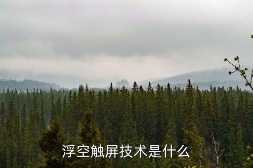 消俠客智能科技是什么，SF MOTORS發(fā)布會上所提到的智能技術(shù)具體指什么