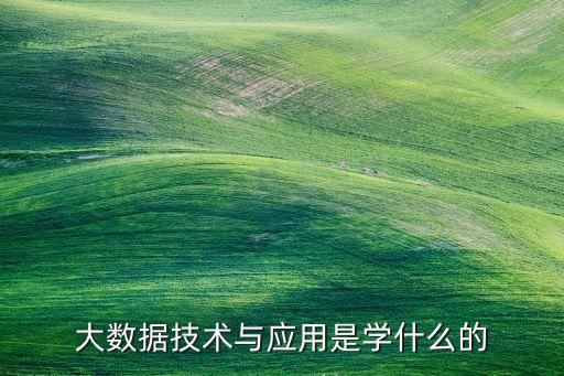 北大軟微智能科技學什么，北大的軟件與微電子學院適合什么類型的學生