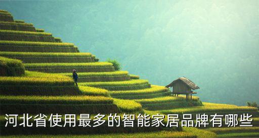 河北省使用最多的智能家居品牌有哪些