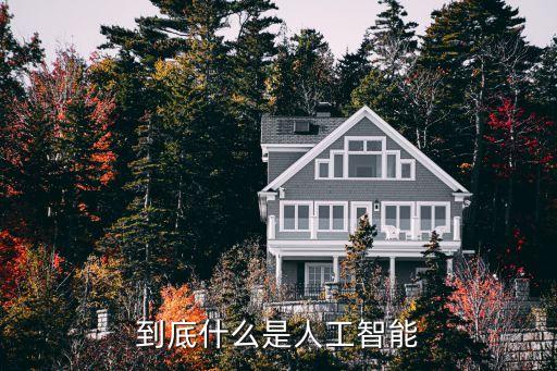到底什么是人工智能