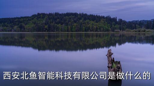 西安北魚(yú)智能科技有限公司是做什么的