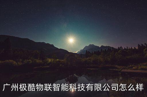 極聯(lián)智能科技是什么公司，東莞動(dòng)力無限電子商務(wù)有限公司是什么樣的公司