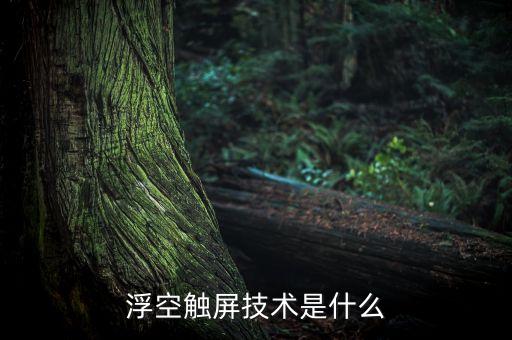 浮空觸屏技術(shù)是什么