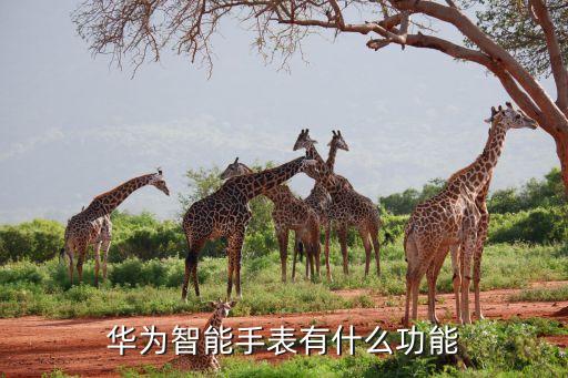 華為智能手表有什么功能