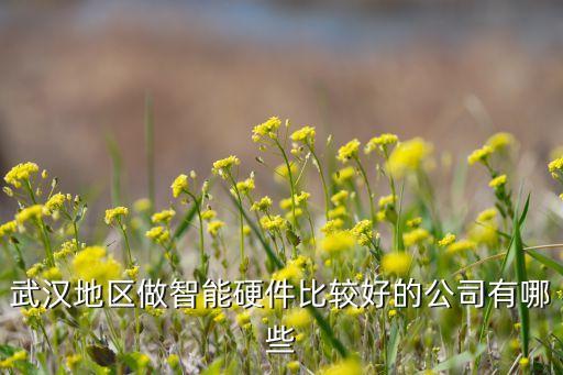 武漢地區(qū)做智能硬件比較好的公司有哪些