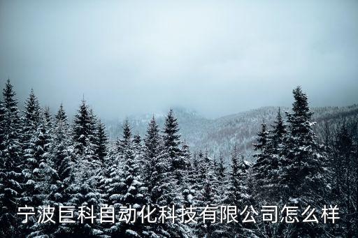 寧波巨科自動化科技有限公司怎么樣