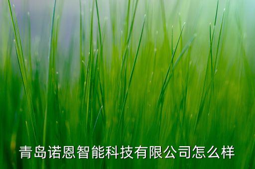 青島諾恩智能科技有限公司怎么樣