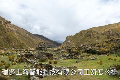 瑞晟智能科技待遇怎么樣，瑞晟微電子蘇州有限公司實習生待遇怎樣
