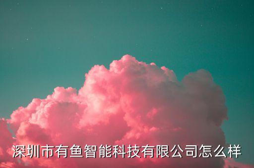 深圳市有魚(yú)智能科技有限公司怎么樣