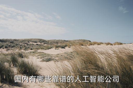 國內(nèi)有哪些靠譜的人工智能公司