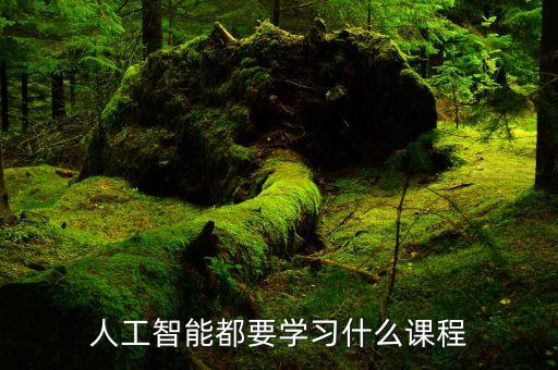 人工智能都要學(xué)習(xí)什么課程