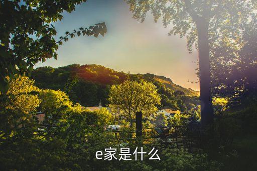 e家是什么