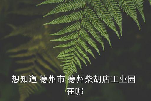 想知道 德州市 德州柴胡店工業(yè)園 在哪