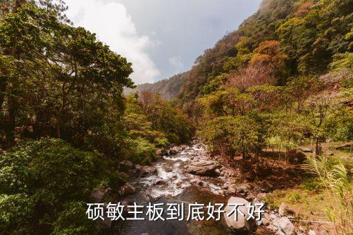 碩敏主板到底好不好