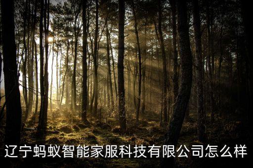 螞蟻智能科技怎么樣，小螞蟻300的智能方面怎么樣誰給科普下唄