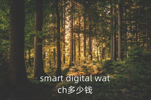 smart digital watch多少錢