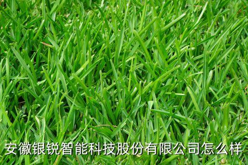 安徽銀銳智能科技股份有限公司怎么樣