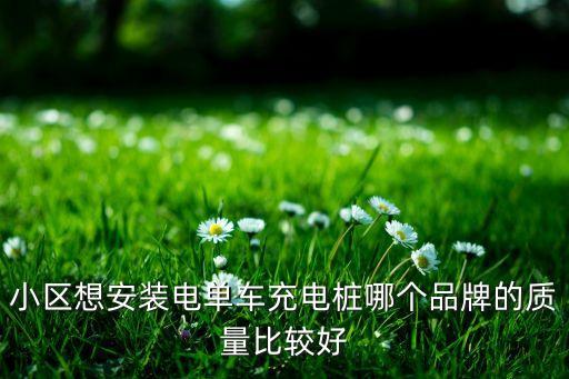 小區(qū)想安裝電單車充電樁哪個(gè)品牌的質(zhì)量比較好
